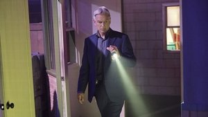 NCIS: Námorný vyšetrovací úrad Epizóda 21
