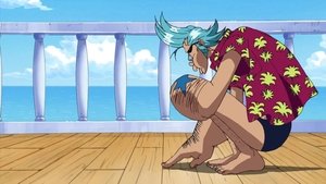 One Piece Epizóda 324