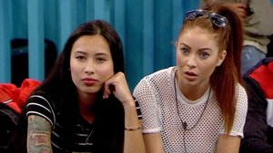 Big Brother Epizóda 19