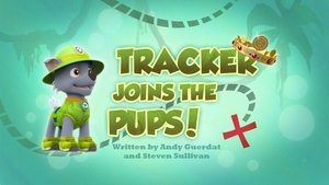 Labková patrola Tracker sa pridáva k Labkám!