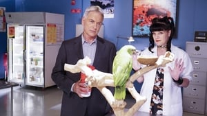 NCIS: Námorný vyšetrovací úrad Epizóda 3