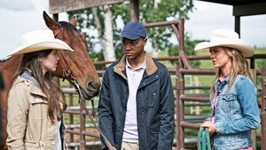 Heartland Epizóda 5