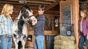 Heartland Epizóda 4