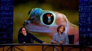 QI Epizóda 10