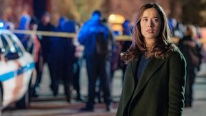 Chicago P.D. Epizóda 10