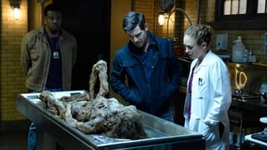 Grimm Epizóda 5