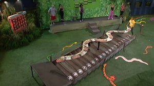 Big Brother Epizóda 23