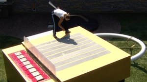 Big Brother Epizóda 29