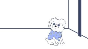 Rooster Teeth Animated Adventures Epizóda 49