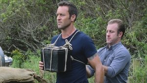 Hawaii 5.0 Epizóda 18