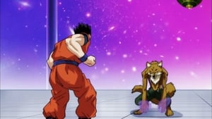 Dragon Ball Super Epizóda 80