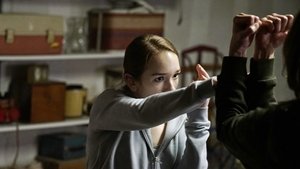The Americans Epizóda 13