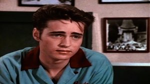 Beverly Hills 90210 Epizóda 24