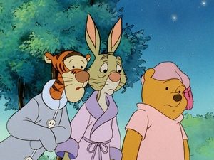 The New Adventures of Winnie the Pooh Epizóda 6