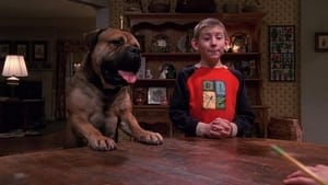 Malcolm in the Middle Epizóda 17