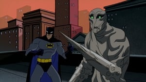 The Batman Epizóda 13