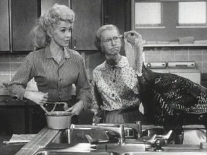 The Beverly Hillbillies Epizóda 10
