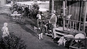 The Beverly Hillbillies Epizóda 34