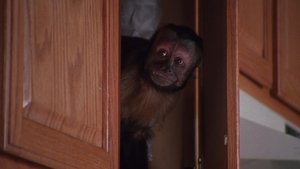 Malcolm in the Middle Epizóda 22