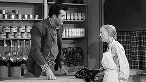 The Beverly Hillbillies Epizóda 3