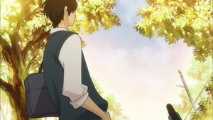 From Me to You: Kimi ni Todoke Epizóda 16