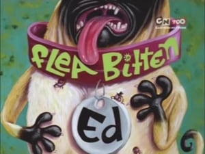 Ed, Edd n Eddy Epizóda 20