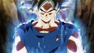 Dragon Ball Super Epizóda 110