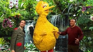 Sesame Street Epizóda 29