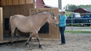 Heartland Epizóda 4