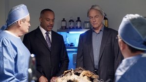 NCIS: Námorný vyšetrovací úrad Epizóda 8