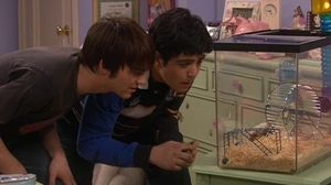 Drake & Josh Epizóda 13