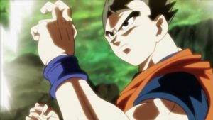 Dragon Ball Super Epizóda 120