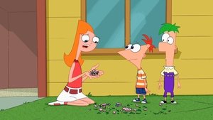 Phineas a Ferb Epizóda 10