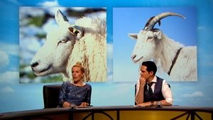QI Epizóda 17