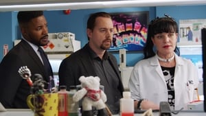 NCIS: Námorný vyšetrovací úrad Epizóda 14