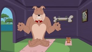 Nové dobrodružstvá Toma a Jerryho Epizóda 19