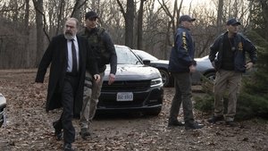 Homeland: Zradca Epizóda 8