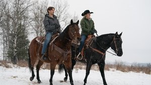 Heartland Epizóda 17