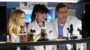 NCIS: Námorný vyšetrovací úrad Epizóda 21
