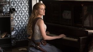 Westworld Fázový priestor