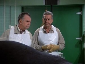 Quincy, M.E. Epizóda 11