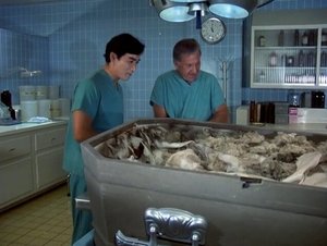 Quincy, M.E. Epizóda 6