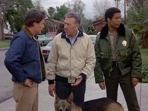 Quincy, M.E. Epizóda 23