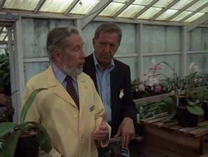 Quincy, M.E. Epizóda 1