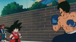 Dragon Ball Epizóda 43