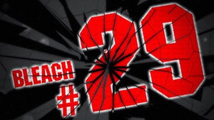 Bleach Epizóda 29