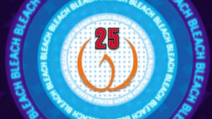 Bleach Epizóda 25
