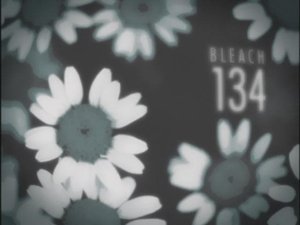 Bleach Epizóda 134