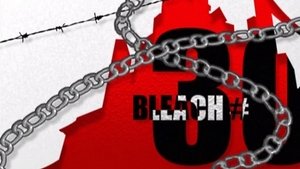 Bleach Epizóda 30