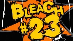 Bleach Epizóda 23